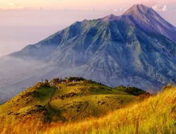 45 Ribu Pelajar Jerman Mogok Sekolah Tolak Rencana Wajib Militer