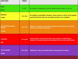 AQI Pontianak Sentuh 1.000-2.000, WALHI Kalbar Soroti 165 Ribu Kasus ISPA