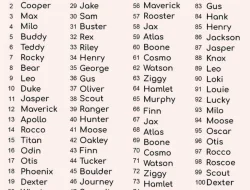 Bill Gates Sebut Tak Ada Pemerintah di Dunia yang Siap Hadapi Dampak AI
