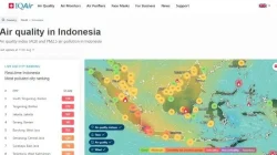 Daftar 35 Daerah Kualitas Udara Tidak Sehat dan Bahaya akibat Karhutla, 113 Ribu Warga Terkena ISPA
