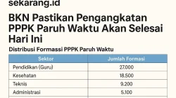 Data PPPK-PPPK Paruh Waktu Versi AMP Sudah di Tangan Dasco dan Mensesneg