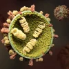 Influenza A Meningkat, Anak Berisiko Kena Komplikasi Berat, IDAI Minta Orang Tua Waspada