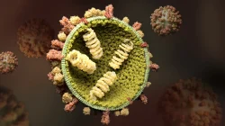 Influenza A Meningkat, Anak Berisiko Kena Komplikasi Berat, IDAI Minta Orang Tua Waspada