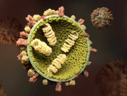 Influenza A Meningkat, Anak Berisiko Kena Komplikasi Berat, IDAI Minta Orang Tua Waspada