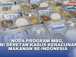 Kasus Keracunan Makanan MBG di Karo: Bakteri Bacillus cereus dan Staphylococcus aureus Ditemukan, Siswi Alami Gangguan Ingatan