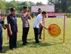 Kecelakaan Pesawat Militer di Kongo Tewaskan 17 Orang, Termasuk Dua Jenderal