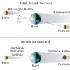 Kenapa Irlandia Punya Solidaritas Tinggi terhadap Palestina? Ini Akar Sejarahnya