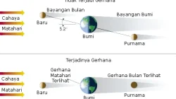 Kenapa Irlandia Punya Solidaritas Tinggi terhadap Palestina? Ini Akar Sejarahnya