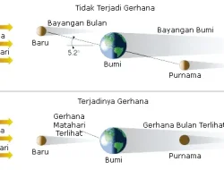 Kenapa Irlandia Punya Solidaritas Tinggi terhadap Palestina? Ini Akar Sejarahnya