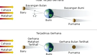 Kenapa Irlandia Punya Solidaritas Tinggi terhadap Palestina? Ini Akar Sejarahnya