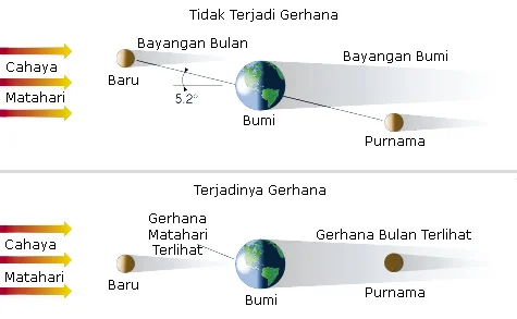 Kenapa Irlandia Punya Solidaritas Tinggi terhadap Palestina? Ini Akar Sejarahnya