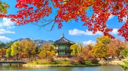 Korea Selatan Tegaskan Tidak Akan Terlibat Perang Iran Bersama AS