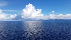 Laut Hitam Memanas akibat Perang Rusia-Ukraina, Erdogan Serukan Penghentian Serangan Kapal Komersial