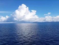Laut Hitam Memanas akibat Perang Rusia-Ukraina, Erdogan Serukan Penghentian Serangan Kapal Komersial