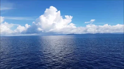 Laut Hitam Memanas akibat Perang Rusia-Ukraina, Erdogan Serukan Penghentian Serangan Kapal Komersial
