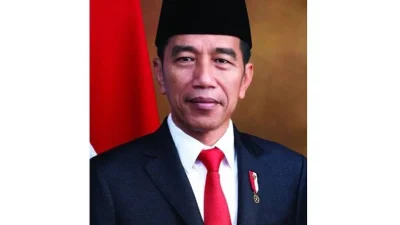 Presiden Prabowo Soroti Tragedi KM Virgo Transport 8, Minta Investigasi Dituntaskan