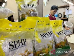 SPHP Beras 2026 Tembus 91,55 Persen, Pemerintah Tambah 1 Juta Ton