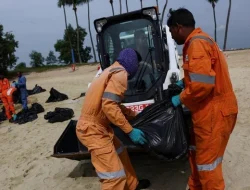 United Utilities Didenda Rp18 Miliar atas Tumpahan Limbah di Pantai North West Inggris