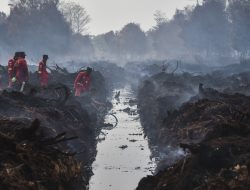 8 Artis-Influencer Terjun Langsung Bantu Padamkan Karhutla di Kalimantan