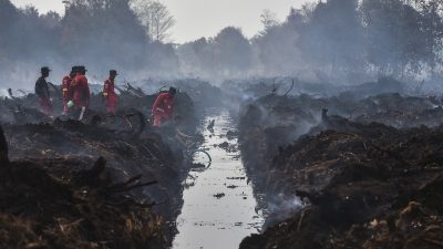 8 Artis-Influencer Terjun Langsung Bantu Padamkan Karhutla di Kalimantan