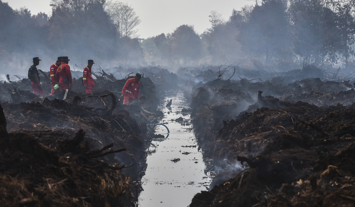 8 Artis-Influencer Terjun Langsung Bantu Padamkan Karhutla di Kalimantan