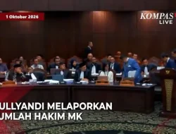 Ahli Gibran M Rullyandi Buka Suara soal Alasan Laporkan Hakim Saldi Isra hingga Suhartoyo