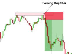 Alex Neil Kritik Penghentian Laga Millwall vs Swansea Imbas Dugaan Rasisme terhadap Eom Ji-Sung