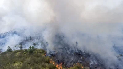 Asap Karhutla Makin Meluas, Ribuan Penerbangan Terdampak hingga NTT