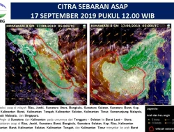Asap Karhutla Terdeteksi di Atmosfer Jakarta, BMKG dan Pemprov DKI Imbau Warga Waspada