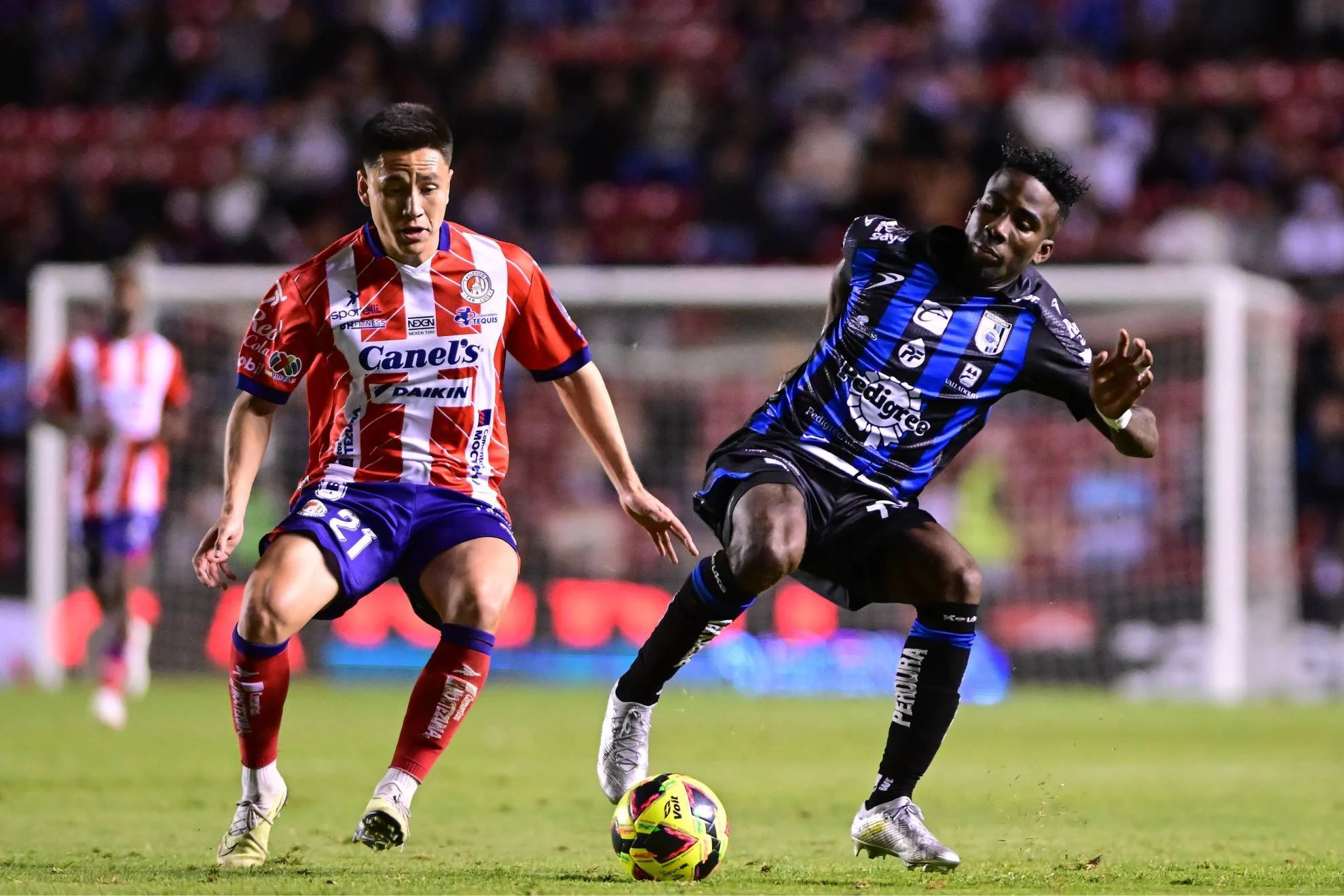 Atlético San Luis Kalahkan Querétaro 2-1, Aksi Agresi ke Suporter Tamu Viral