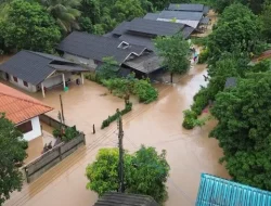 Banjir Rendam Sentra Unggas, Thailand Batasi Ekspor Telur hingga 50 Persen