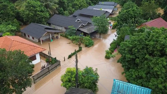 Banjir Rendam Sentra Unggas, Thailand Batasi Ekspor Telur hingga 50 Persen