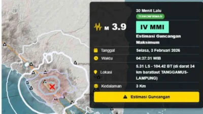 BMKG Catat 76 Gempa di Tanggamus, Bersamaan dengan Gempa Kuat di Maluku dan Papua