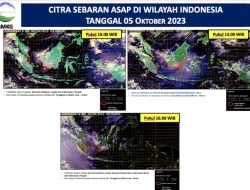BMKG Pastikan Asap Karhutla Masuk Atmosfer Jakarta, Warga Diminta Tak Panik