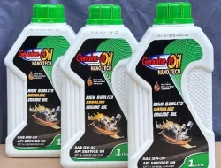 Fakta Baru Kasus Kokain Cair 3,6 Kg di Bali: Cewek Brasil Dibayar Rp 780 Juta