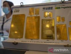 Harga Emas Pegadaian Hari Ini 6 Oktober 2026 Kompak Naik, Galeri24 Rp 2.513.000 per Gram