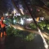 Hujan Deras dan Angin Kencang Landa Bogor, Picu Banjir Lintasan hingga Pohon Tumbang