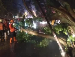Hujan Deras dan Angin Kencang Landa Bogor, Picu Banjir Lintasan hingga Pohon Tumbang