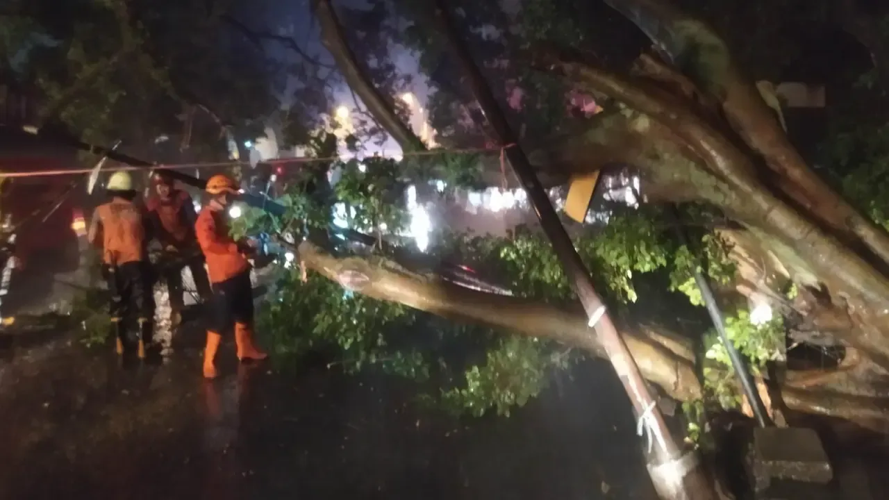 Hujan Deras dan Angin Kencang Landa Bogor, Picu Banjir Lintasan hingga Pohon Tumbang