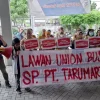 Kabar Baik untuk 1.100 Pekerja PT PWI yang Kena PHK, Disnaker Lebak Prioritaskan Masuk Perusahaan Baru