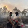 Karhutla Kalimantan Belum Padam, Aktivis Usul MBG Dihentikan 3-7 Hari