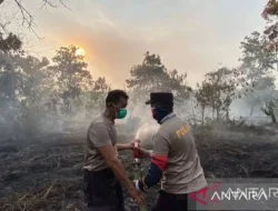 Karhutla Kalimantan Belum Padam, Aktivis Usul MBG Dihentikan 3-7 Hari