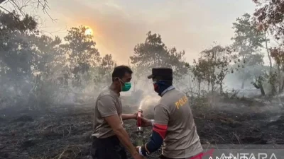 Karhutla Kalimantan Belum Padam, Aktivis Usul MBG Dihentikan 3-7 Hari
