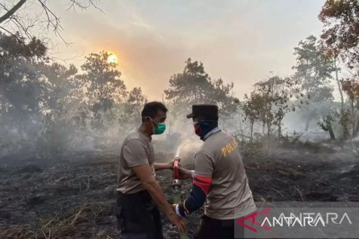 Karhutla Kalimantan Belum Padam, Aktivis Usul MBG Dihentikan 3-7 Hari
