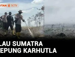 Karhutla Meluas, Malaysia Liburkan Sekolah dan Petugas di Lamandau Pingsan