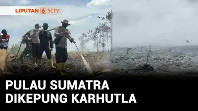 Karhutla Meluas, Malaysia Liburkan Sekolah dan Petugas di Lamandau Pingsan