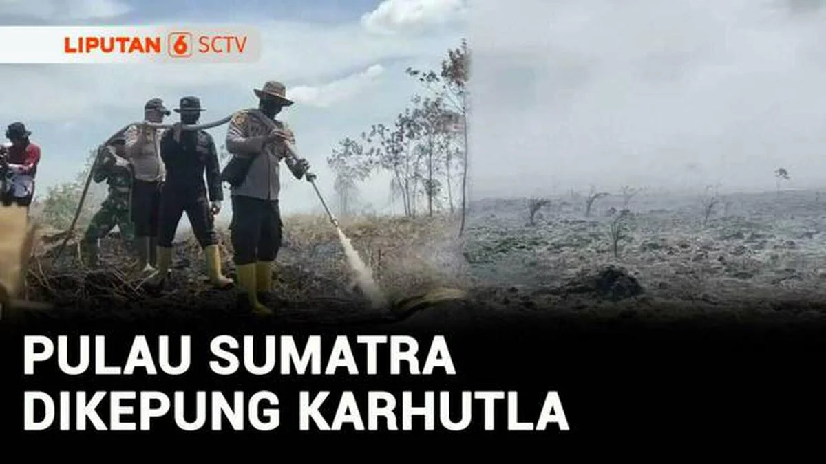 Karhutla Meluas, Malaysia Liburkan Sekolah dan Petugas di Lamandau Pingsan