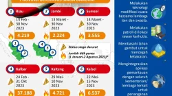 Karhutla Meluas, Status Darurat Bencana di Indonesia Dibedakan per Wilayah