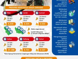Karhutla Meluas, Status Darurat Bencana di Indonesia Dibedakan per Wilayah