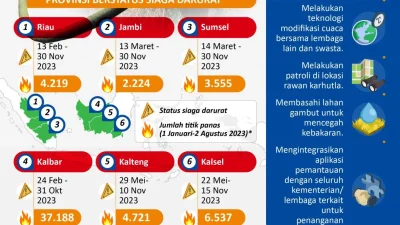 Karhutla Meluas, Status Darurat Bencana di Indonesia Dibedakan per Wilayah